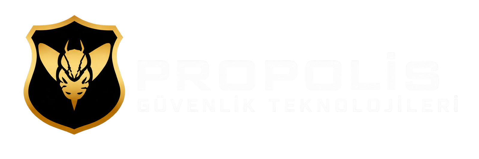 Propolis Güvenlik Teknolojileri